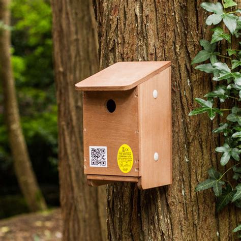 Dormouse Nest Box | The Nestbox Company