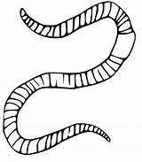 Normal Earthworm sketch template