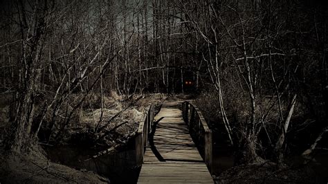 The Blog Where Horror Dwells: The Witch's Woods