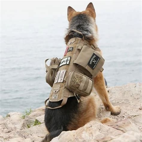 Pin on Tactical Dog Harness