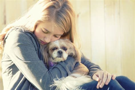 A sad or depressed teenage girl hugging a small dog | Generation Wags