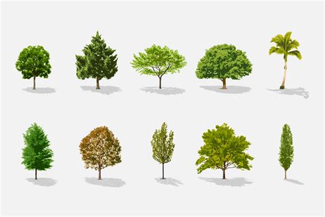 Free Trees Vector Collection Pack