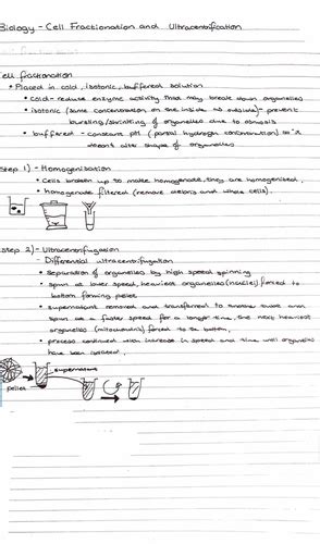 A level - Cell Structure & Fractionation | Teaching Resources