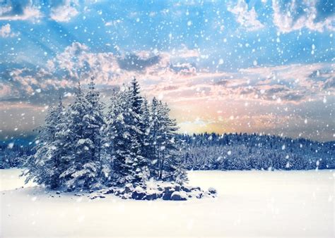 Premium Photo | Winter landscape with forest and sunrise