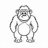 How To Draw A Gorilla Step By Pictures Cool2bkids sketch template