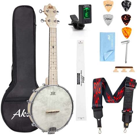 Top 8 Best Banjo Brands - Get the Best Banjo for Your Money