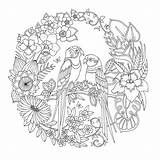 Johanna Basford Coloring Books  K5 Worksheets sketch template