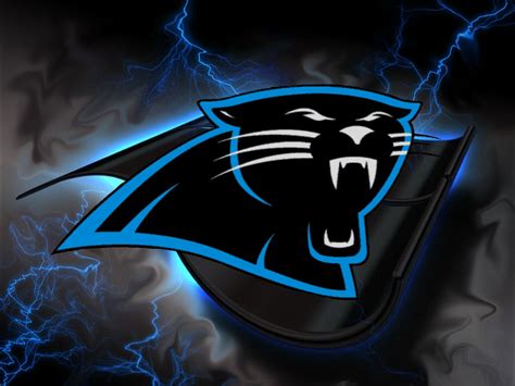 Panthers wallpaper | 1024x768 | #69488