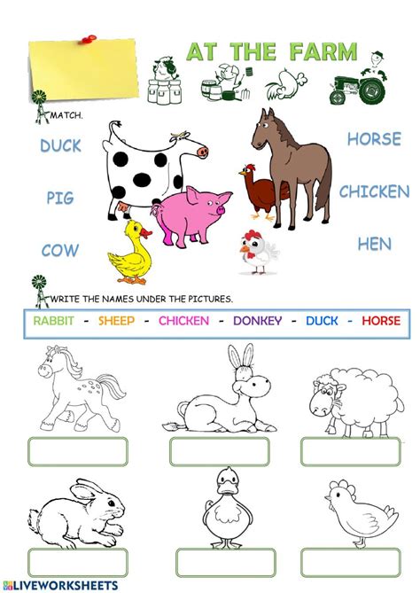 wild animals worksheet - wild animals 1 interactive worksheet - Jerome Crosby