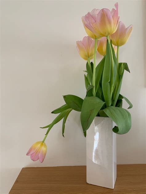 Tulips by Sylvia Plath | Burn The Water