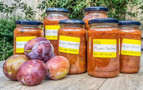 Plum Chutney Recipe – Tangy and Delicious | BaldHiker