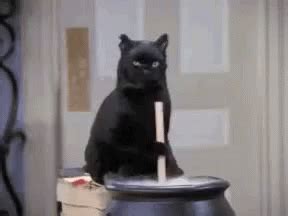 Evil Laugh GIF - Evil Laugh Cat - Discover & Share GIFs