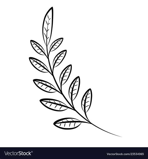 Leaves branch decorative Royalty Free Vector Image