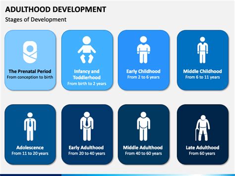 Adulthood Development PowerPoint and Google Slides Template - PPT Slides