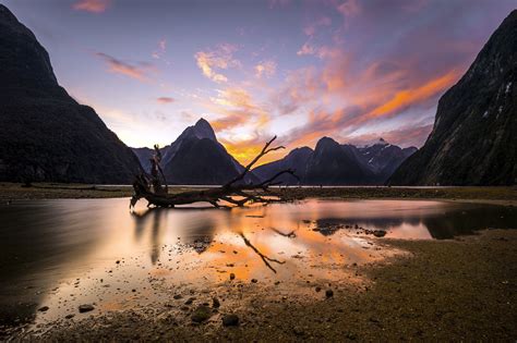 Fiordland, New Zealand | Switchback Travel