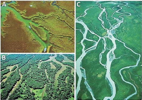 A Miocene anastomosing river system in the area of Konin Lignite Mine ...