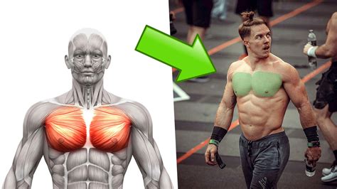 9 Best Home Chest Exercises with ZERO EQUIPMENT | BOXROX