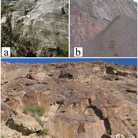 Examples of fault surfaces geometry in three outcrops. (a) Striated and ...