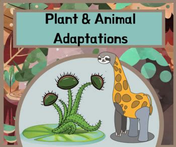 Plant & Animal Adaptations Bundle by Leasha's Lessons | TpT