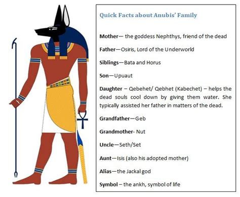 The Role of Anubis in the Egyptian Pantheon - World History Edu