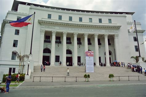 Your First Look Inside The National Museum of Natural History | Tatler Philippines