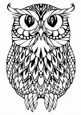 Adult Coloring Pages Printable sketch template