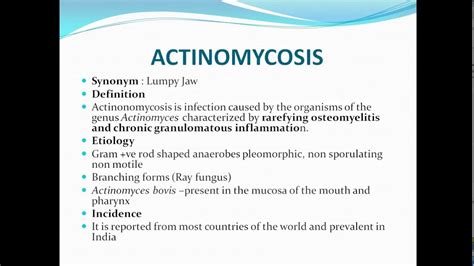 Actinomycosis/lumpy jaw - YouTube