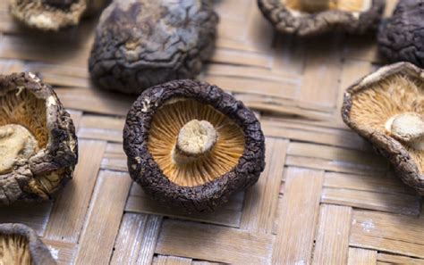 Shiitake Mushroom Benefits: 8 Uses For This Superfood