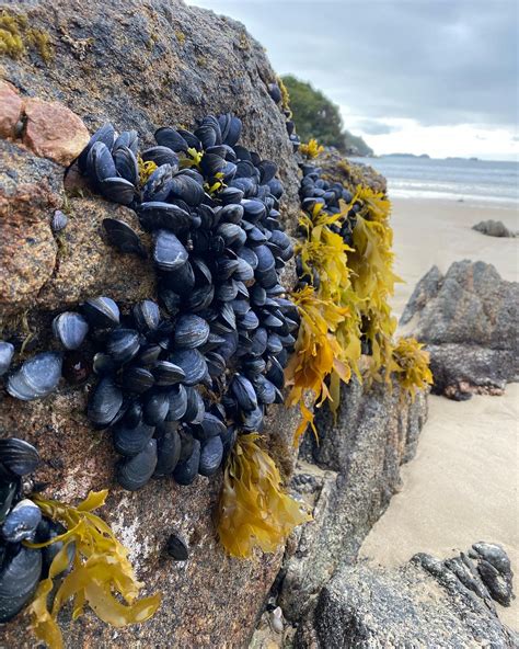 Stewart Island, New Zealand – jessicasabo.com