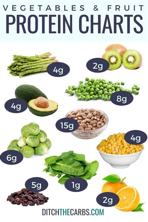 High Protein Vegetables and Fruit (Protein Charts) | High protein vegetables, High protein fruit ...