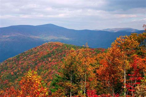 The 16 Most Beautiful Places to See Fall Foliage in Georgia