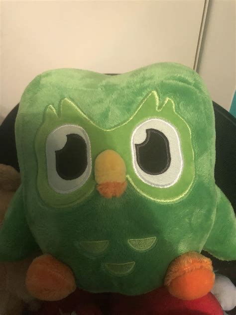 Just got my Duolingo plush : r/duolingo