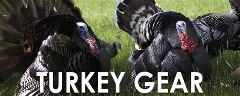 Turkey Gear | Decoys, Calls, Broadheads, and more!