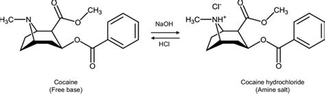 Chemical structures of cocaine (free base form) and cocaine ...