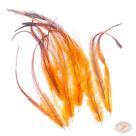 Emu Feathers | Fly Tying Feathers | Skeena River Fly Supply