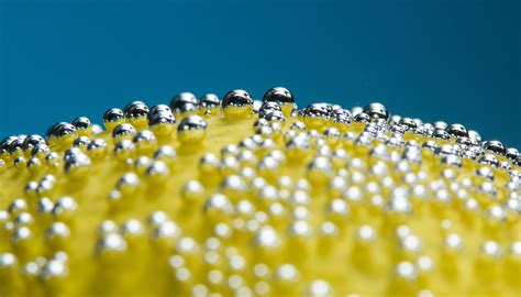 Sparkling Water Still Life Photography | Learn Photography by Zoner Photo Studio