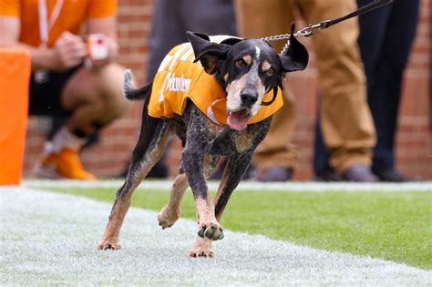 The State of the State: Tennessee Look at College Football Futures