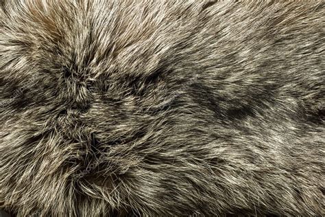 Closeup of beautiful polar Fox fur — Stock Photo © Arsgera #1365251