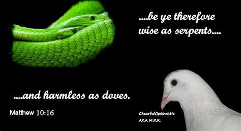 Hoping you'll love this post... Are You as Wise as a Serpent; as Innocent as a Dove? http ...