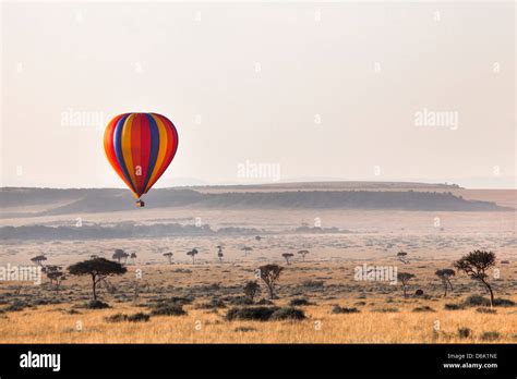 Dawn hot air balloon ride, Masai Mara National Reserve, Kenya, East Africa, Africa Stock Photo ...