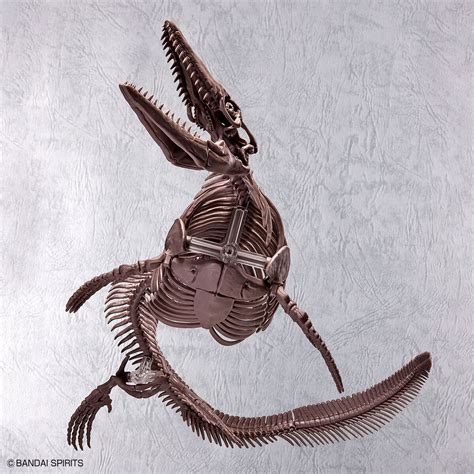 Imaginary Skeleton Mosasaurus | HLJ.com