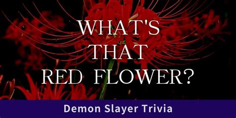 What’s The Name of Red Flowers in Demon Slayer and Its Meaning?