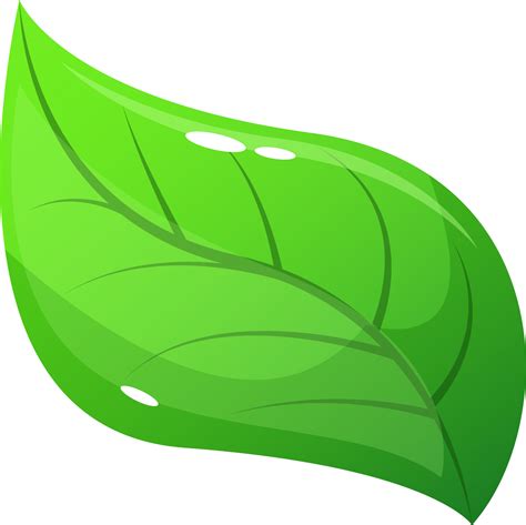 Realistic leaf clipart design illustration 9384209 PNG