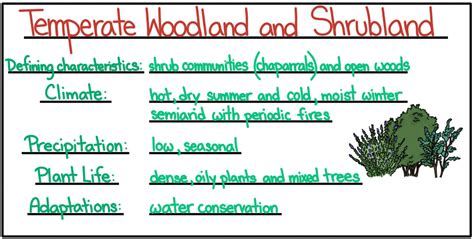 Biomes: Temperate - Expii