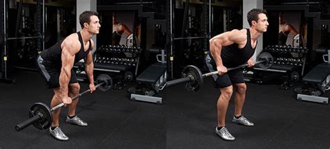 How To Do Bent Over Barbell Row ? | WorkoutTrends.com