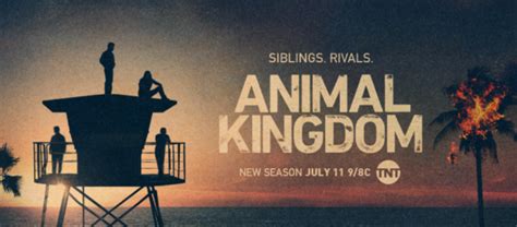 Animal Kingdom: Season Five Ratings - canceled + renewed TV shows ...