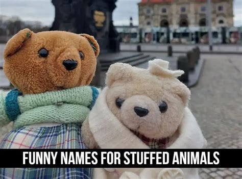 100+ Funny Names For Stuffed Animals (Cute and Unique Ideas)