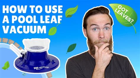 How to use a POOL LEAF VACUUM. The best way to remove leaves from a ...