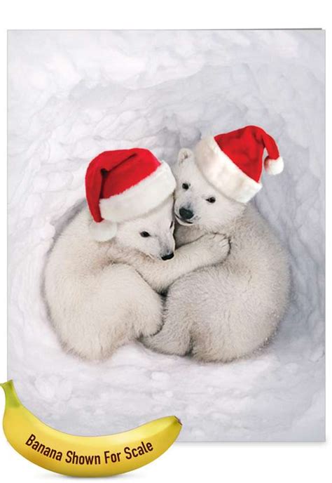 Bear Hugs: Creative Merry Christmas Jumbo Printed Greeting Card