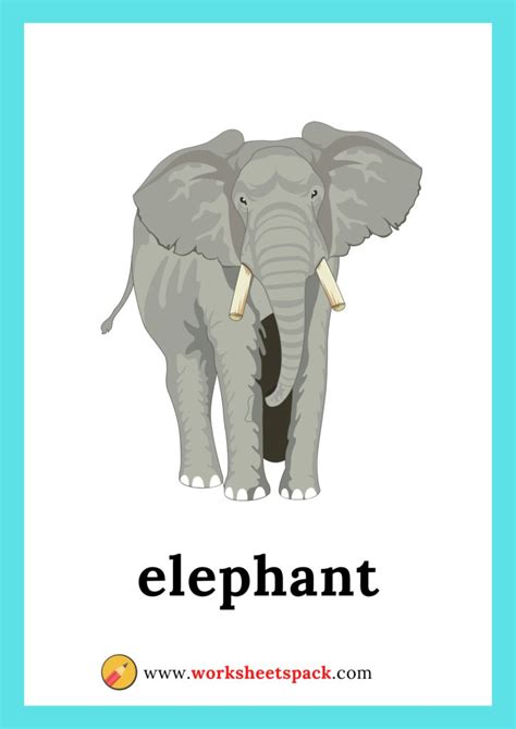 Elephant Wild Animals Flashcards For Kids Flashcardskids | Images and ...